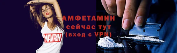 стаф Нея