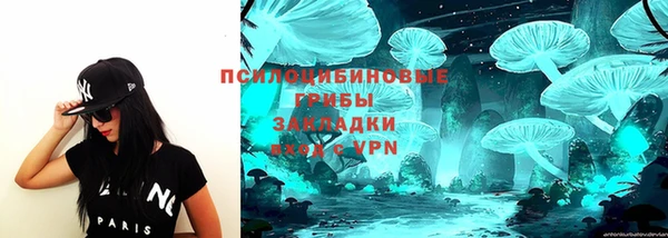 стаф Анива