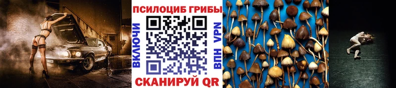 мега   Нестеров  Галлюциногенные грибы MAGIC MUSHROOMS 